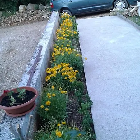 Lucija